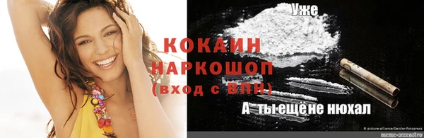 прущие крисы Бородино