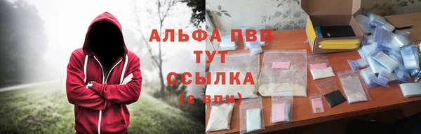 ПСИЛОЦИБИНОВЫЕ ГРИБЫ Волосово