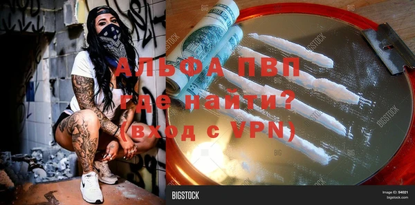 ПСИЛОЦИБИНОВЫЕ ГРИБЫ Волосово