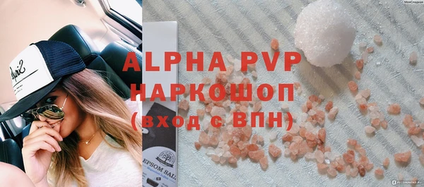 прущие крисы Бородино