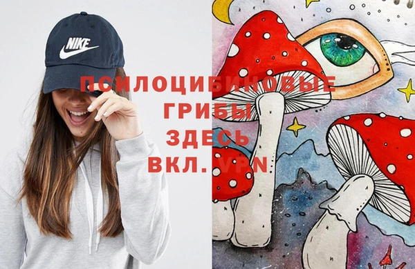 герыч Бугульма