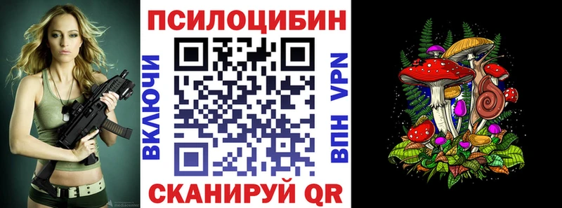 где можно купить   Ивантеевка  Галлюциногенные грибы GOLDEN TEACHER 